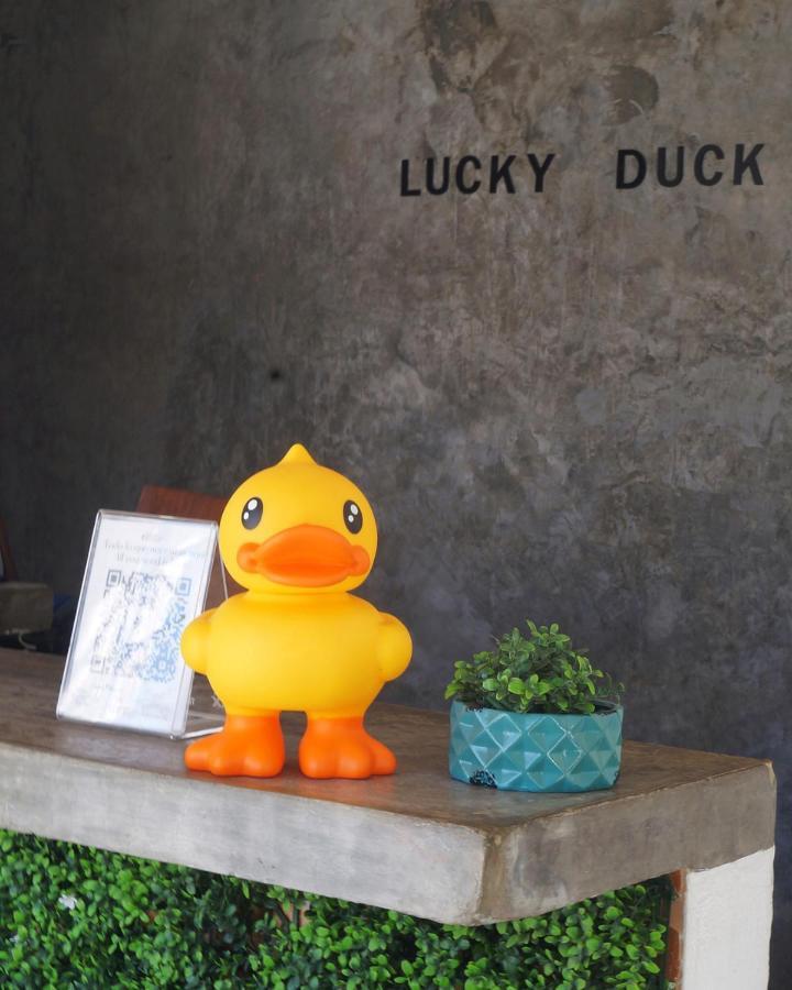 Lucky Duck Pj Hotell Cancún Exteriör bild